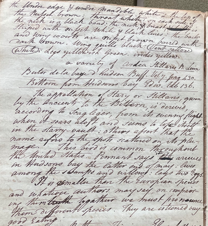 Lecture on Natural History 25