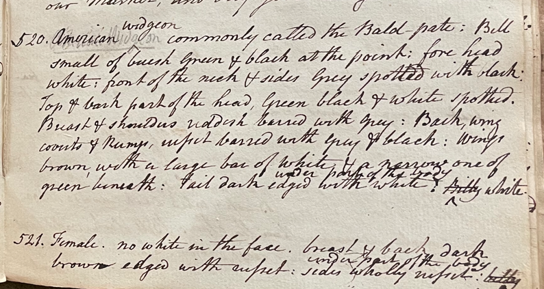 Lecture on Natural History 22