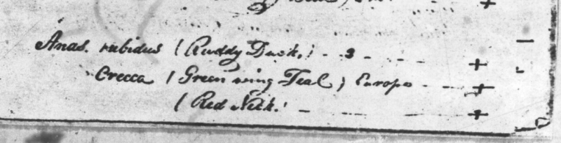 A Catalogue of Duplicate Specimens