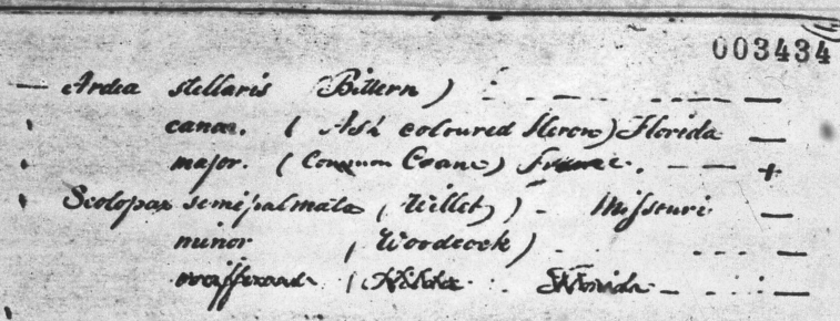 A Catalogue of Duplicate Specimens