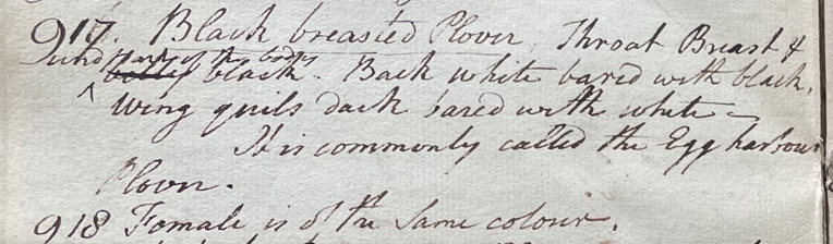 Lecture on Natural History 26