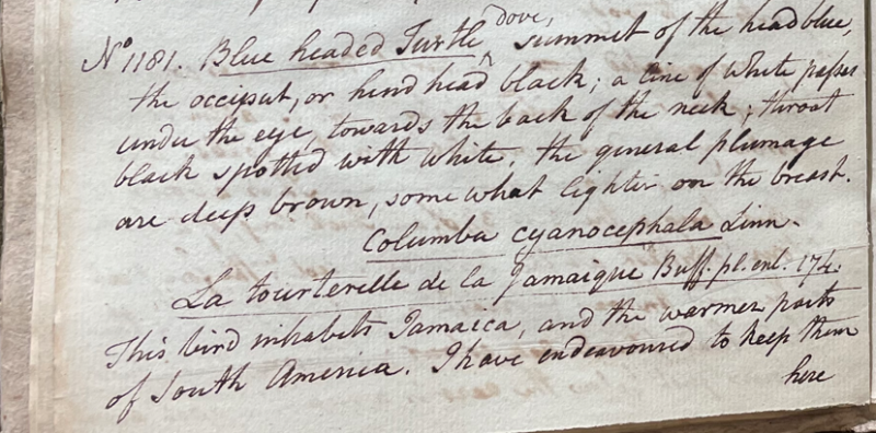 Lecture on Natural History 30