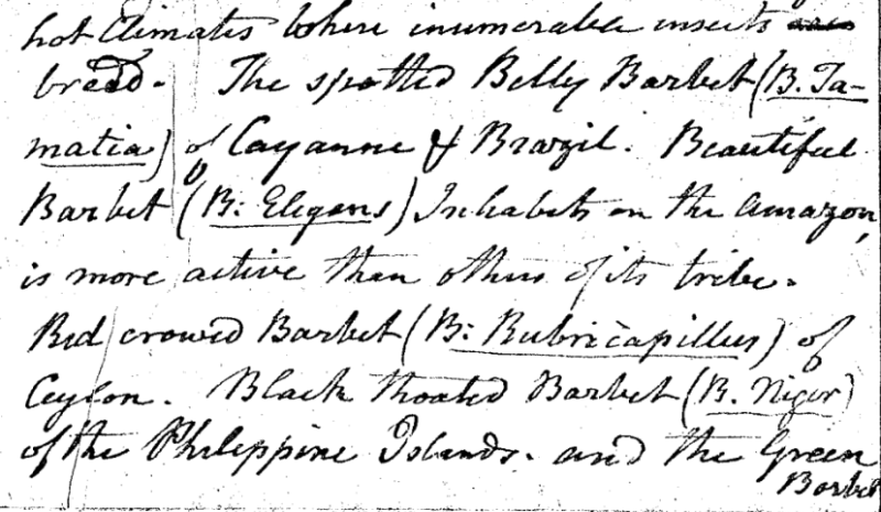 "A Walk through the Philad[elphi]a Museum"