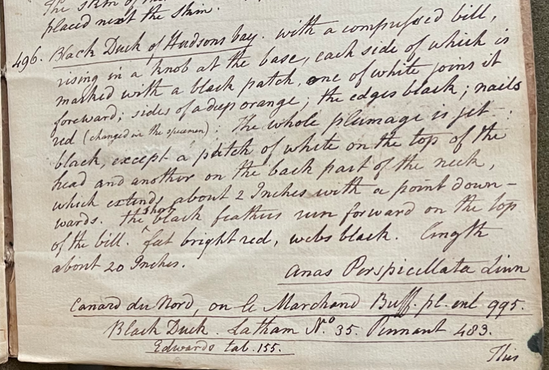 Lecture on Natural History 21