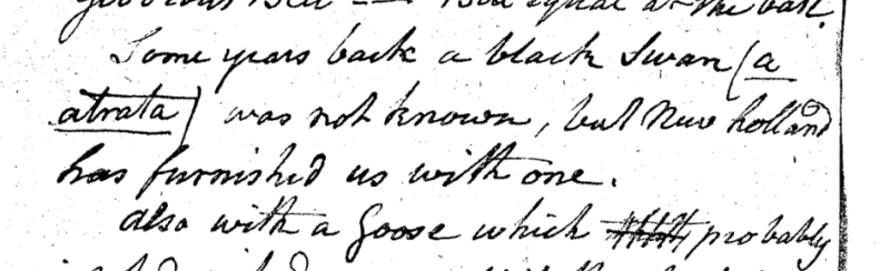 "A Walk through the Philad[elphi]a Museum"