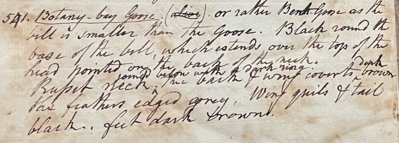 Lecture on Natural History 21