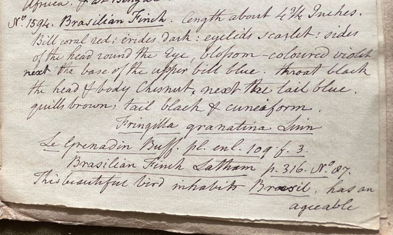 Lecture on Natural History 34