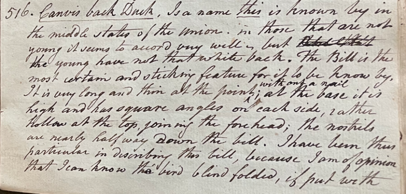 Lecture on Natural History 22