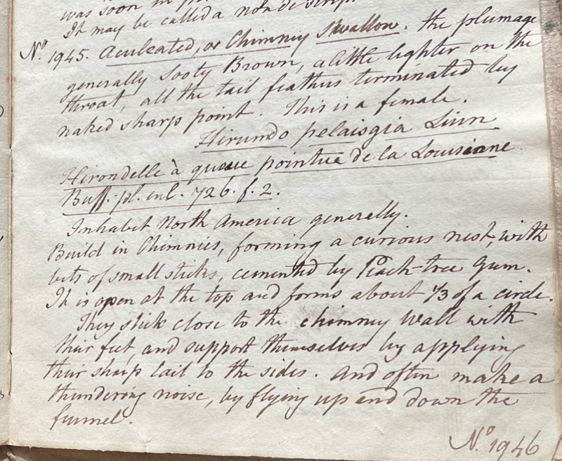 Lecture on Natural History 38