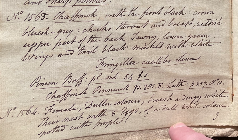 Lecture on Natural History 34