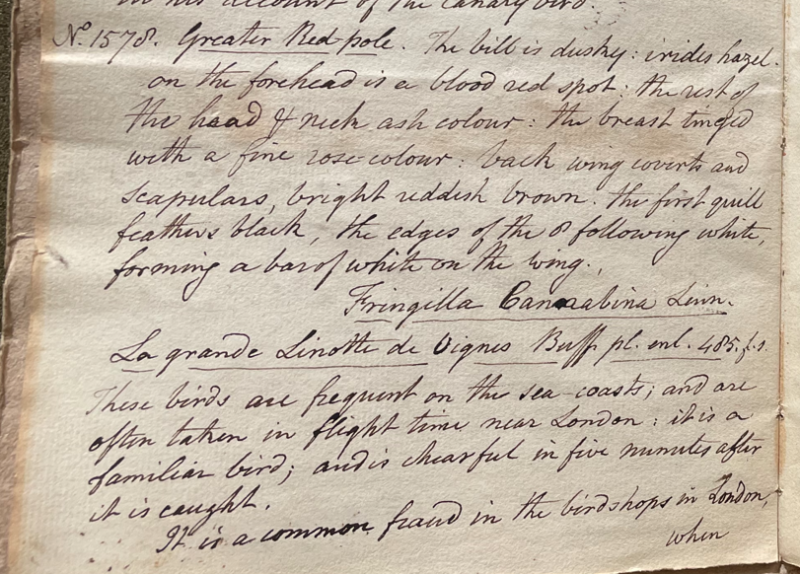 Lecture on Natural History 34