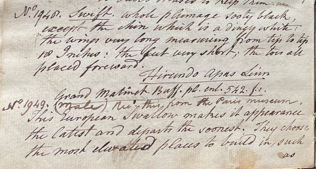 Lecture on Natural History 38