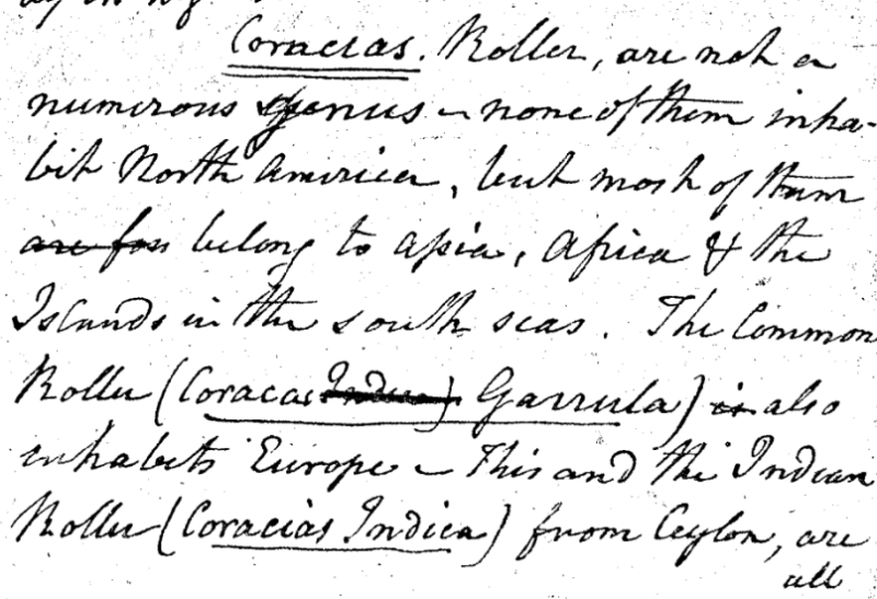 "A Walk through the Philad[elphi]a Museum"