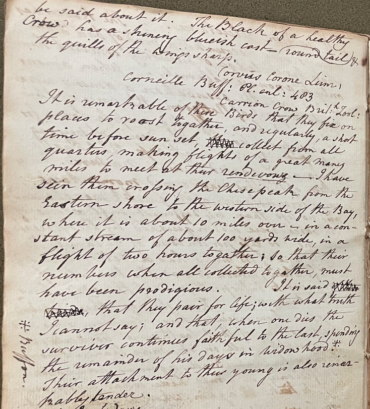 Lecture on Natural History 17