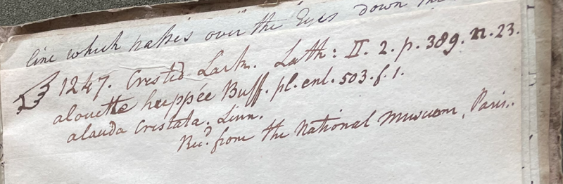 Charles Willson Peale, Lecture on Natural History 31