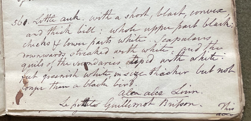 Charles Willson Peale, Lecture on Natural History 24