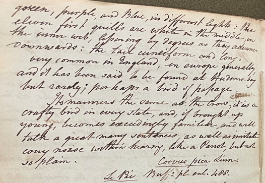 Lecture on Natural History 17