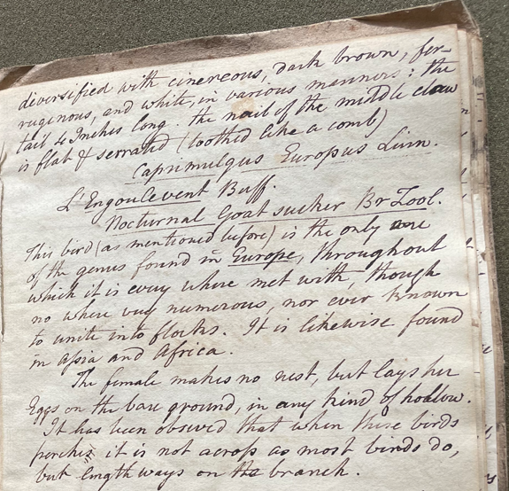 Lecture on Natural History 39