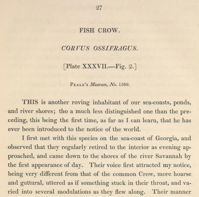 American ornithology.... Volume 5