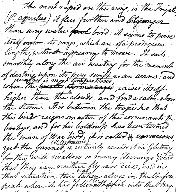 "A Walk through the Philad[elphi]a Museum"