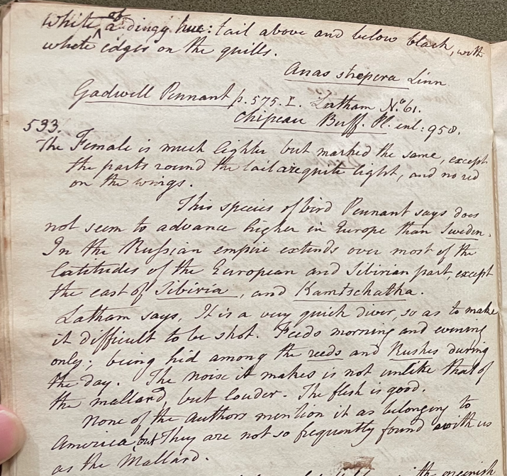 Lecture on Natural History 22