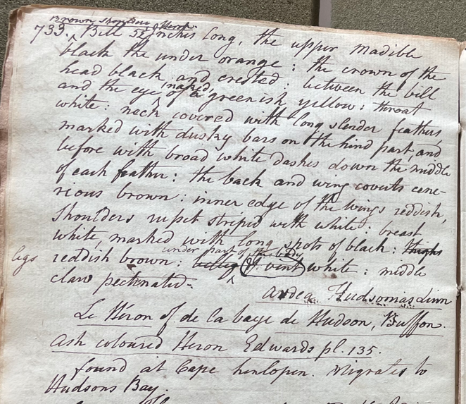 Lecture on Natural History 25