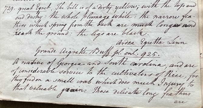 Lecture on Natural History 25