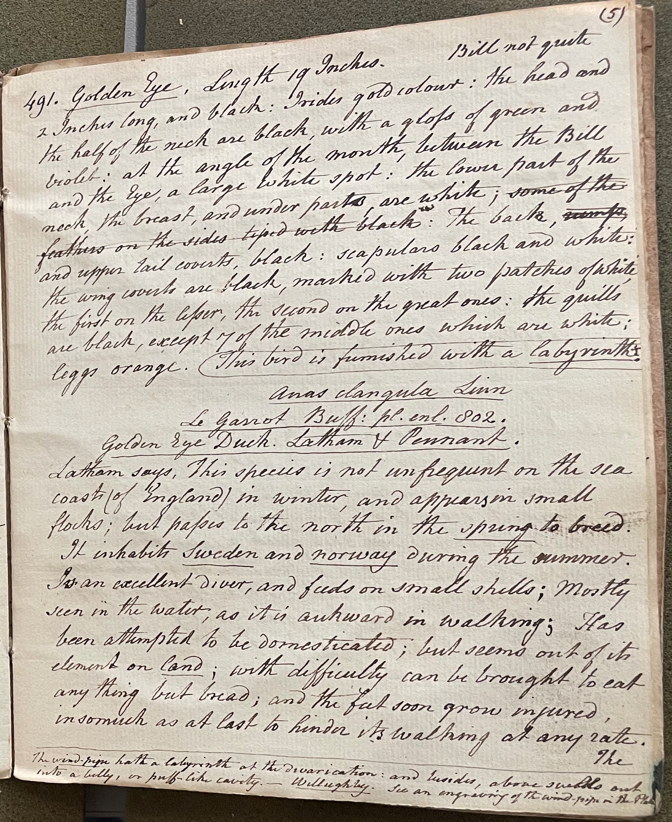 Lecture on Natural History 21