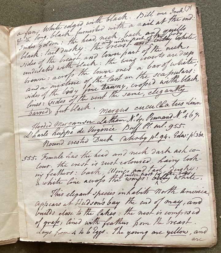 Lecture on Natural History 22