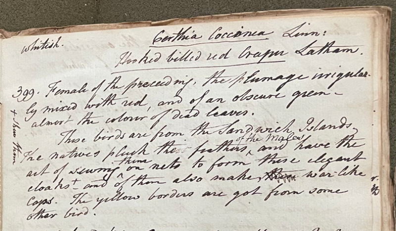 Lecture on Natural History 20