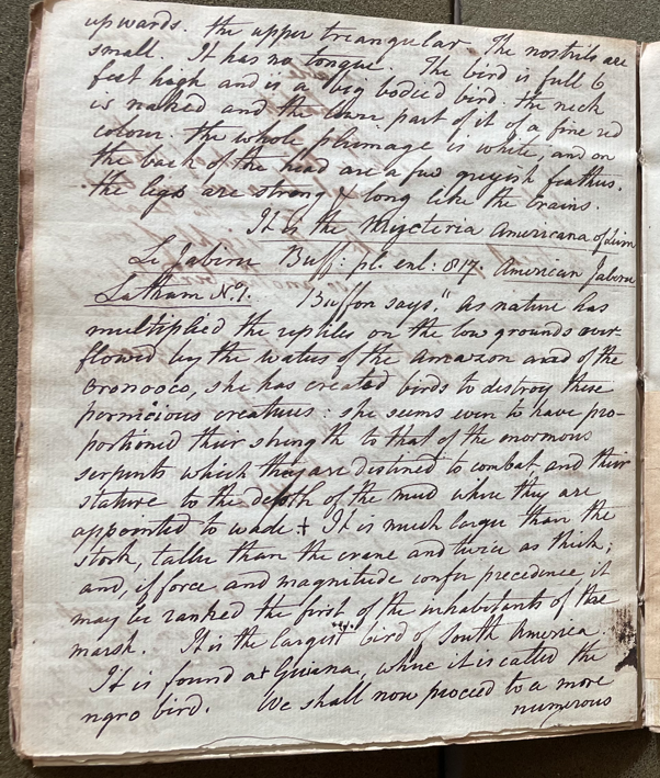 Lecture on Natural History 25