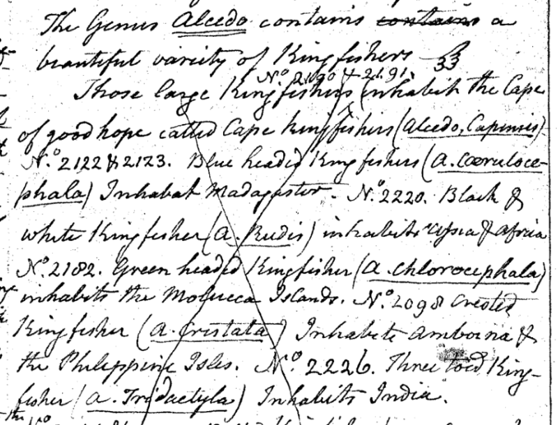 Charles Willson Peale, "A Walk through the Philad[elphi]a Museum" 