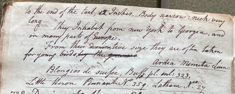 Lecture on Natural History 25