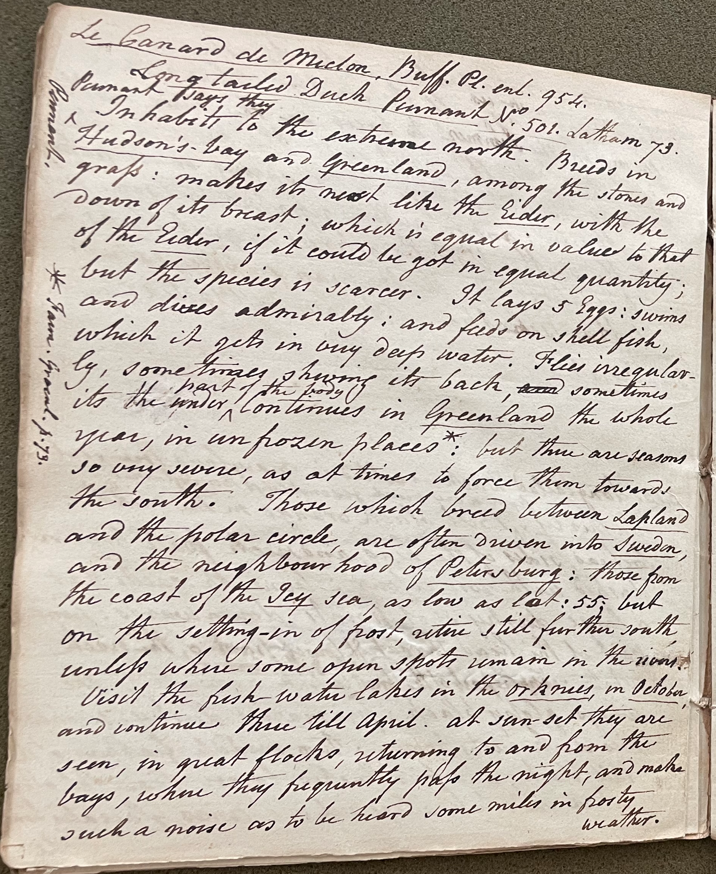 Lecture on Natural History 22