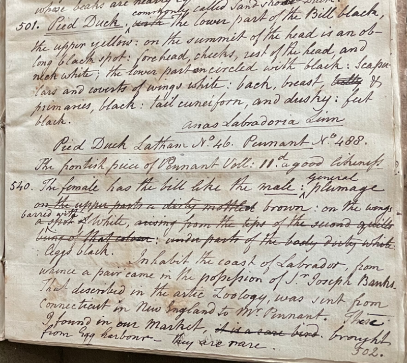 Lecture on Natural History 22