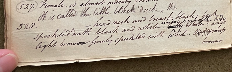 Lecture on Natural History 22