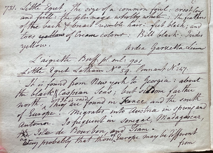 Lecture on Natural History 25