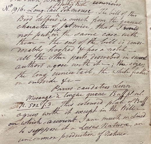 Charles Willson Peale, Lecture on Natural History 37