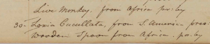 Peale Museum Accessions Book