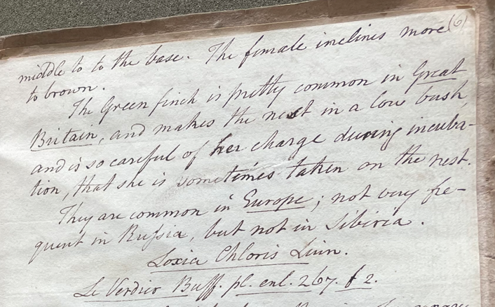 Lecture on Natural History 32