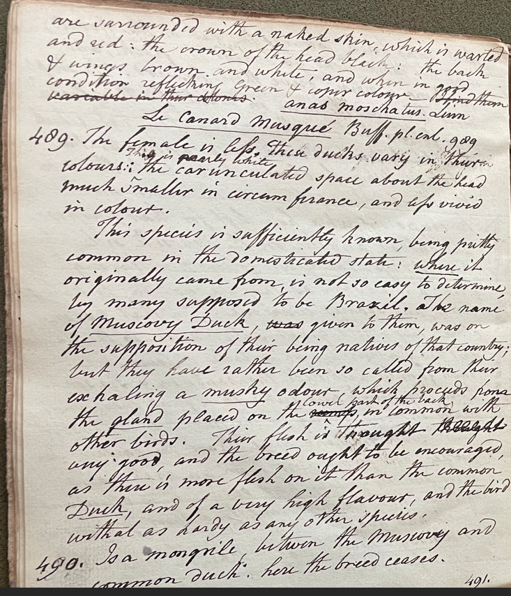 Lecture on Natural History 21