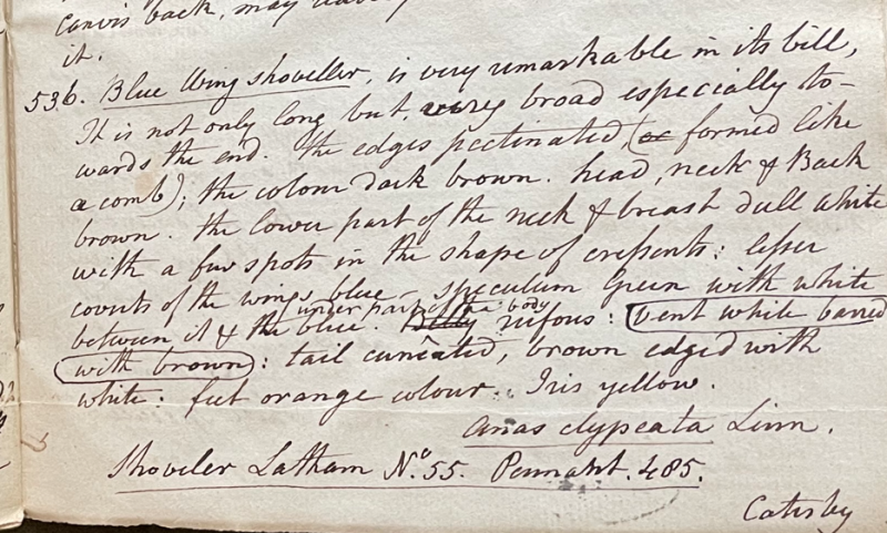 Lecture on Natural History 22