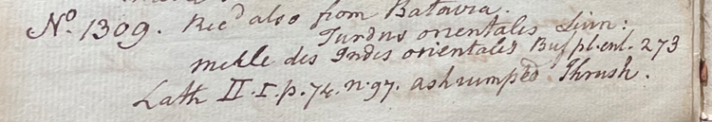 Lecture on Natural History 31