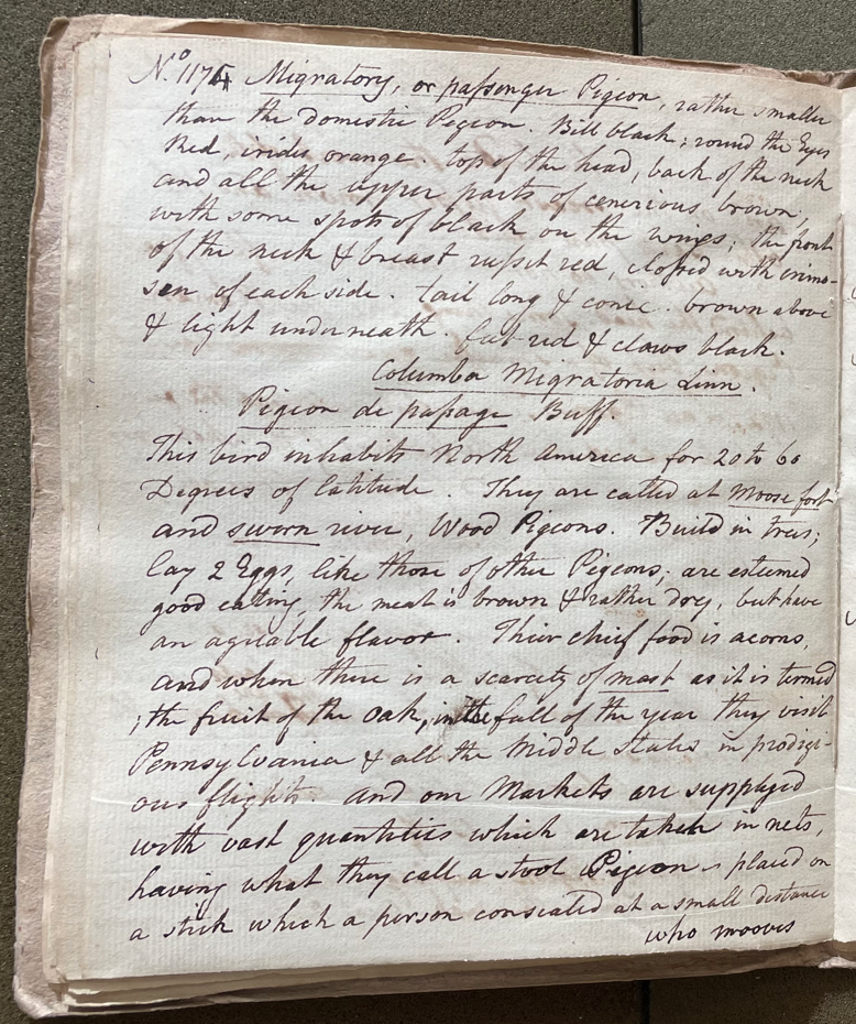 Lecture on Natural History 30