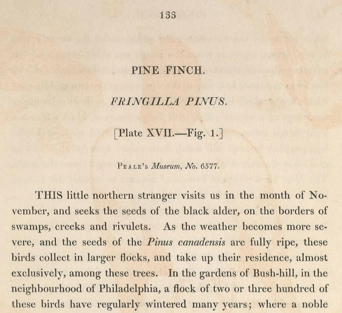 American ornithology.... Volume 2, Plate 17