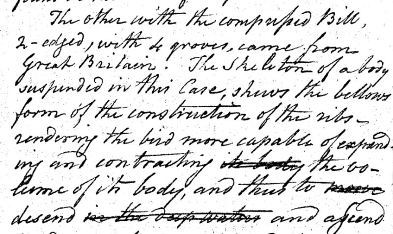 Charles Willson Peale, "A Walk through the Philad[elphi]a Museum" 