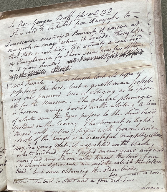 Lecture on Natural History 32