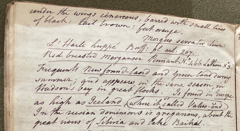 Lecture on Natural History 22