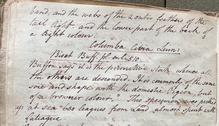 Lecture on Natural History 30