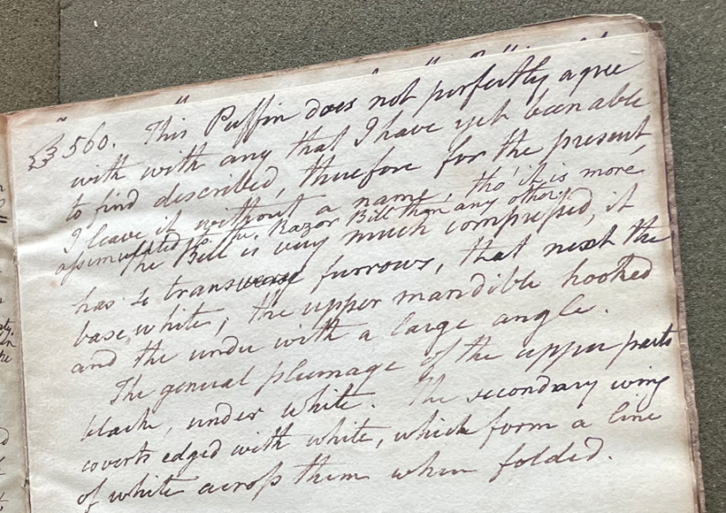 Charles Willson Peale, Lecture on Natural History 24